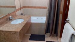 Sommerville Park (D10), Condominium #482286471